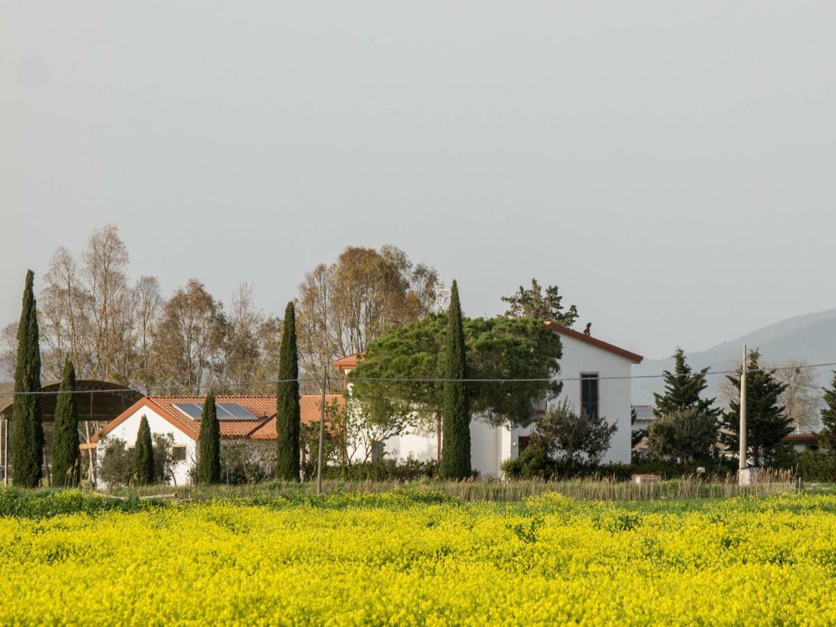 B&B Podere684 Grosseto Exterior foto