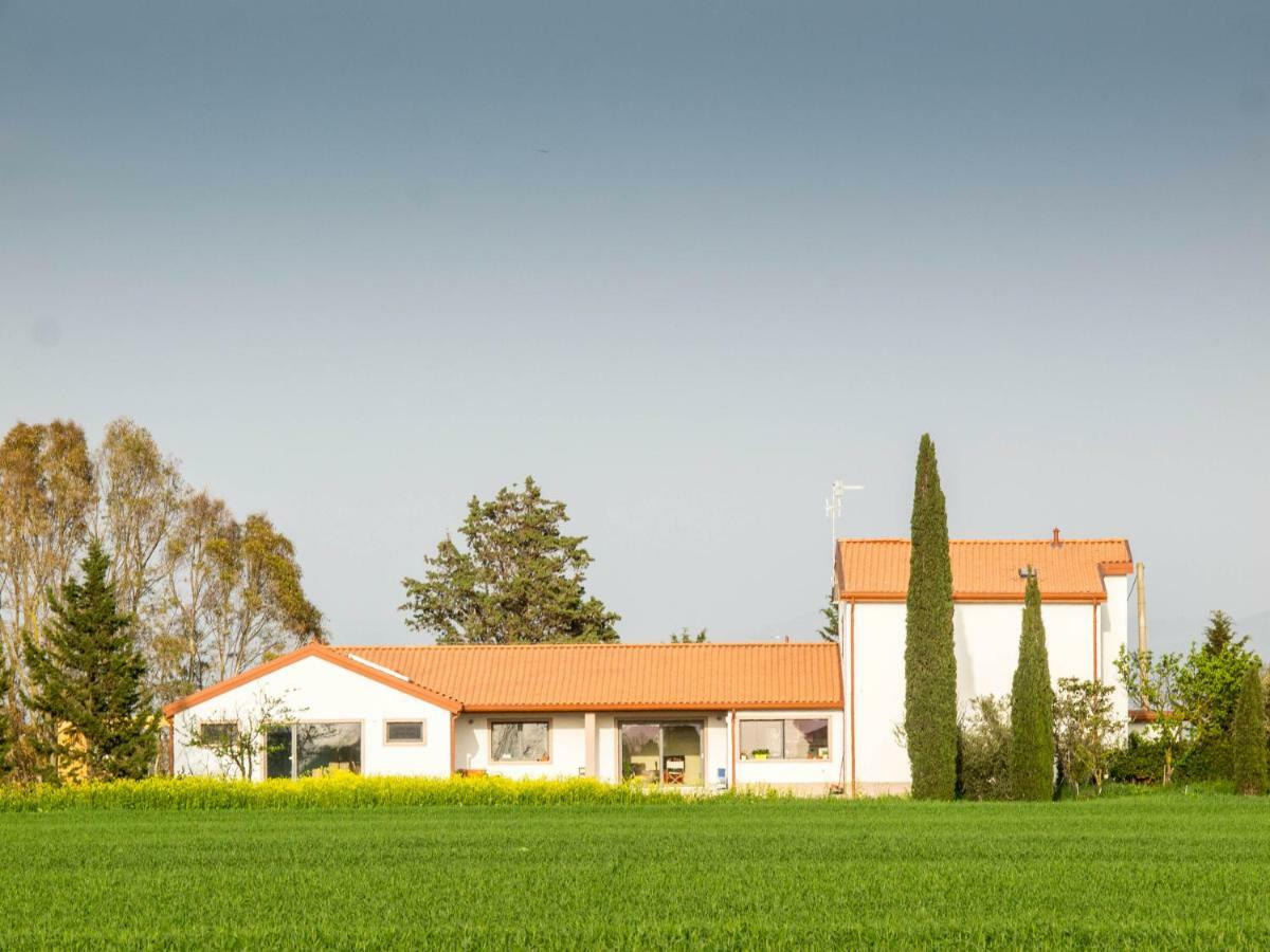 B&B Podere684 Grosseto Exterior foto